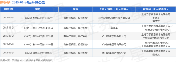 金赢中心 拼多多作为被告/被上诉人的5起涉及著作权权属、侵权纠纷的诉讼将于2025年6月24日开庭