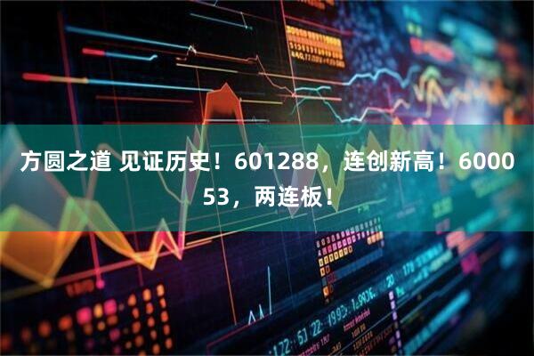 方圆之道 见证历史！601288，连创新高！600053，两连板！