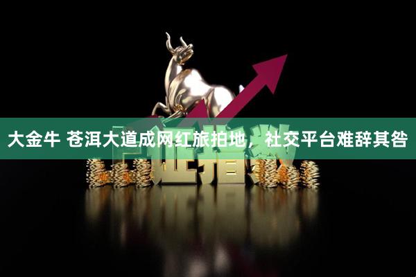 大金牛 苍洱大道成网红旅拍地，社交平台难辞其咎
