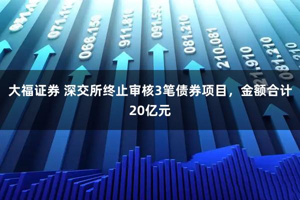 大福证券 深交所终止审核3笔债券项目，金额合计20亿元